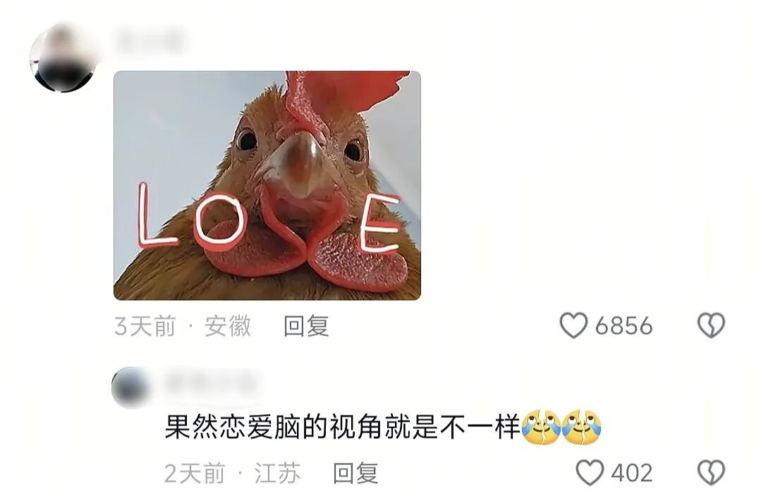 【爆笑】“外文翻译中文能有多逆天?”哈哈哈哈哈哈哈头要笑飞了(组图) - 62