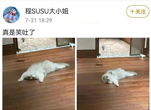 香港火灾后的荒谬审判：八竿子打不着的迪丽热巴，成“道德靶心”（组图） - 24