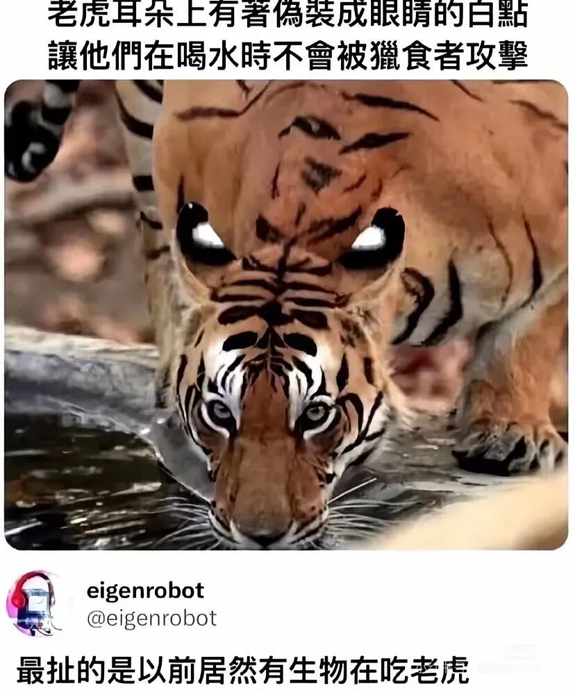 【爆笑】“外文翻译中文能有多逆天?”哈哈哈哈哈哈哈头要笑飞了(组图) - 74