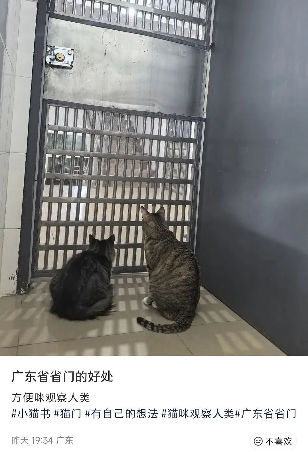 【爆笑】“对娱乐圈的误解能有多大？”哈哈哈哈哈哈哈真的刷新三观（组图） - 52