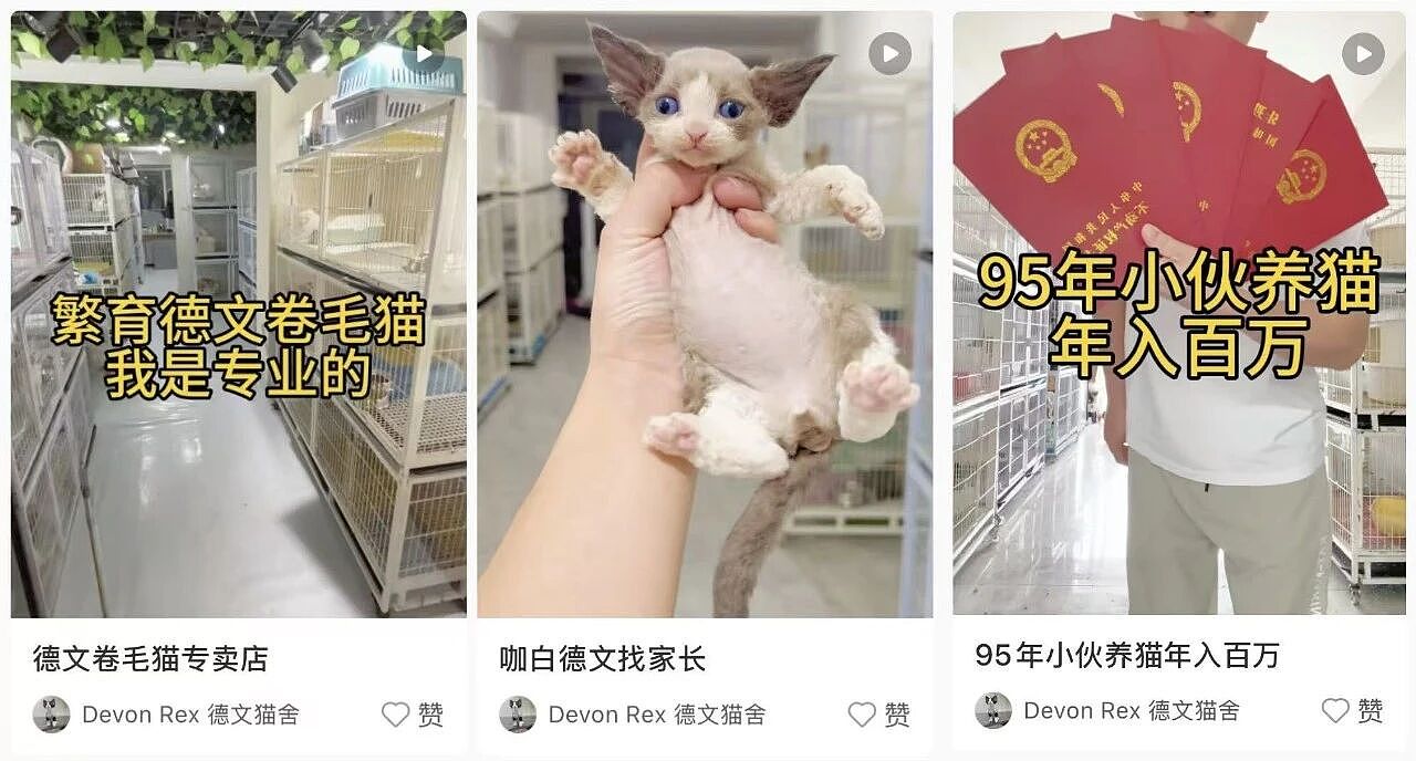 抄底20套东北老破小,能躺平吗?(组图) - 12