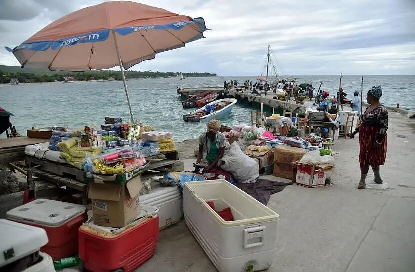 笑喷，俩“鬼才”想纠集流浪汉大军占领小岛奴役岛民？还没动手，警察来了...（组图） - 3
