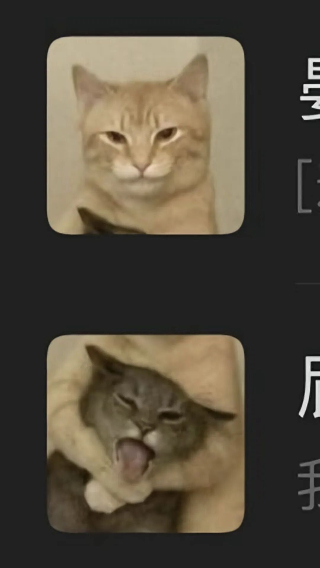 【爆笑】“外文翻译中文能有多逆天?”哈哈哈哈哈哈哈头要笑飞了(组图) - 52