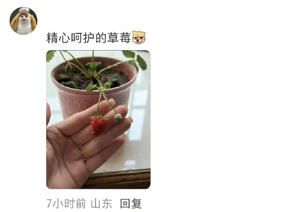【爆笑】“外文翻译中文能有多逆天?”哈哈哈哈哈哈哈头要笑飞了(组图) - 34