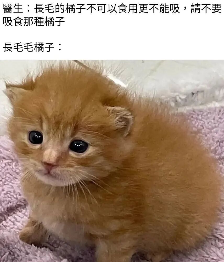 【爆笑】“外文翻译中文能有多逆天?”哈哈哈哈哈哈哈头要笑飞了(组图) - 80