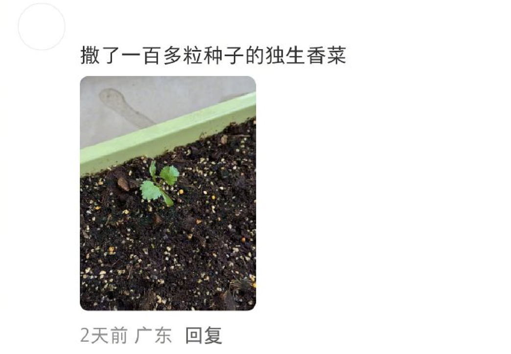 【爆笑】“外文翻译中文能有多逆天?”哈哈哈哈哈哈哈头要笑飞了(组图) - 36