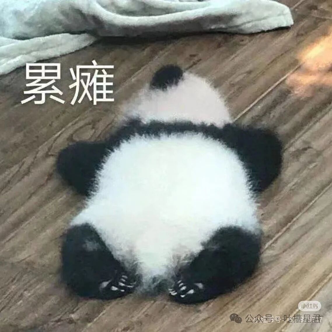 【爆笑】“为什么父母总有一种未经世事的天真？”啊啊啊还是没被社会毒打过！（组图） - 13
