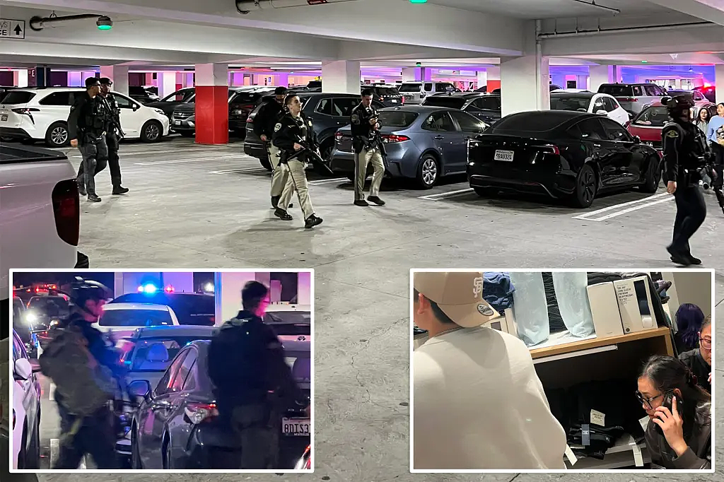 美国湾区最大商场“黑五”爆发枪击！3人中弹，现场华人惊魂奔逃：以为再也见不到家人…（组图） - 5