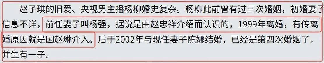陪睡上位？最清纯女主持人的炸裂情史：和赵宝刚传绯闻、卷入陈坤生子谜（组图） - 23