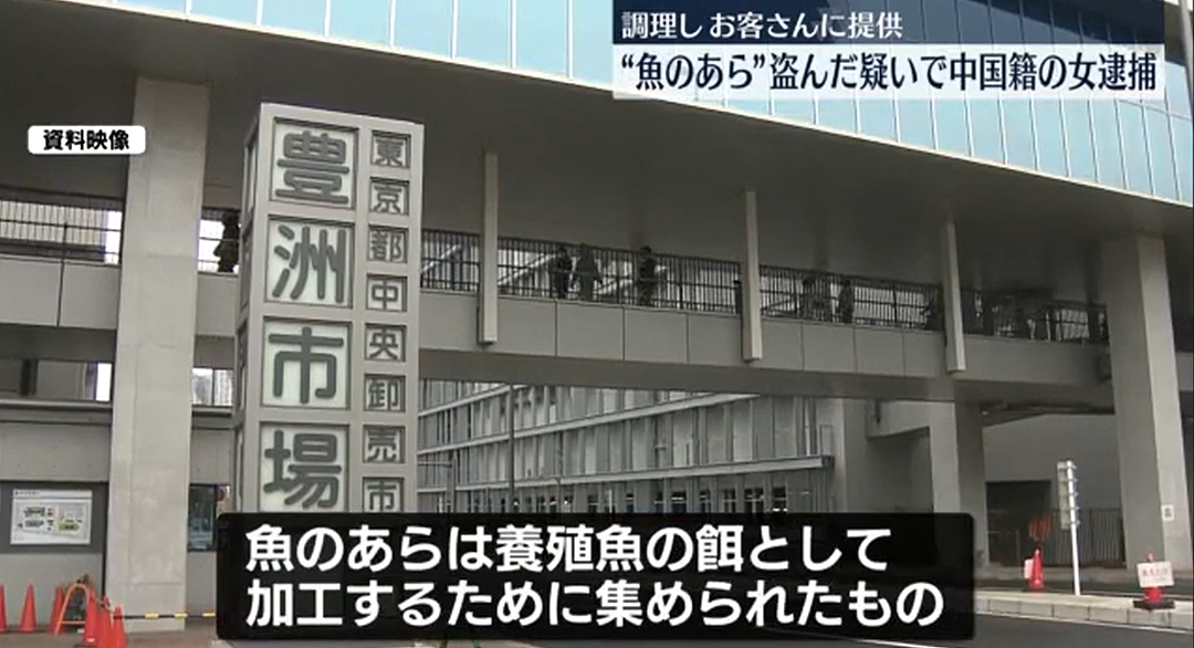 中国女子因偷窃210日元的鱼骨头被逮捕!日本网友:这值得实名露脸报道?(组图) - 3