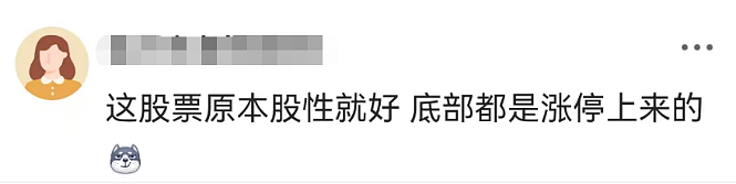 股民发帖“主力求您拉个涨停,孩子生重病钱不够…”公司第二天真涨停了!是否涉嫌操纵股价?律师回应(组图) - 5