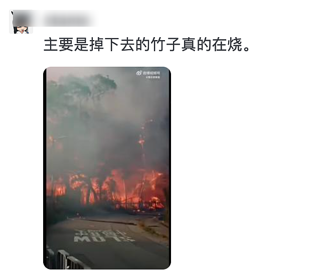 香港火灾后，有一群人在努力证明竹子比金属耐燃（组图） - 17