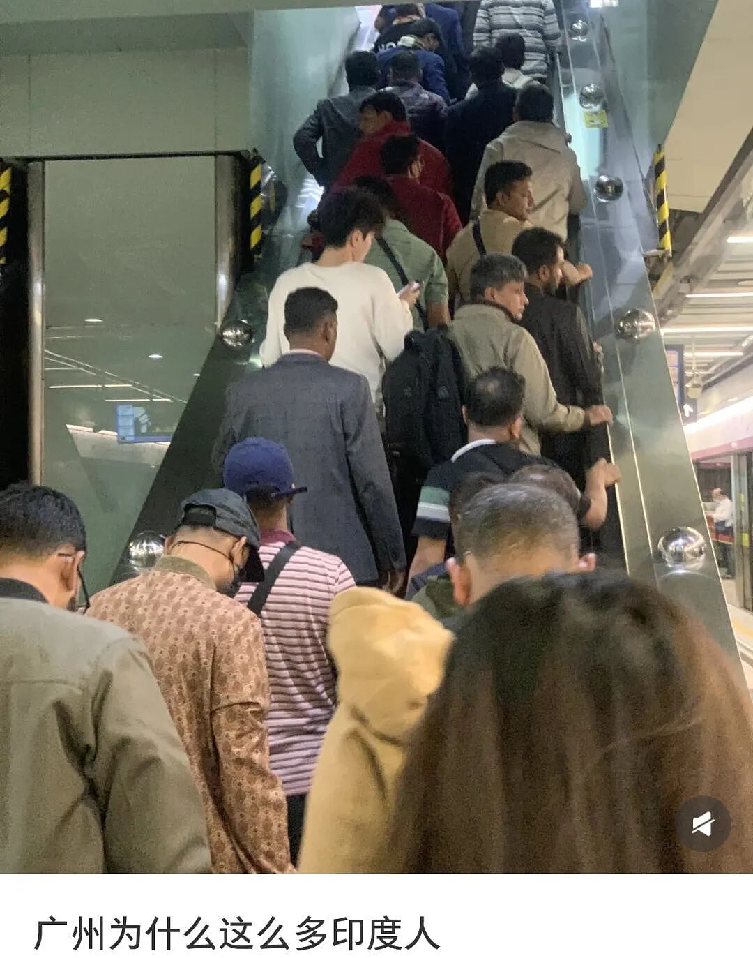 15万印度人，慢慢“逼疯”广东人（组图） - 3