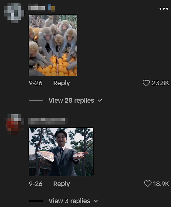 送美刀不如发砍刀，“美式扶贫”成人类清除计划（组图） - 23