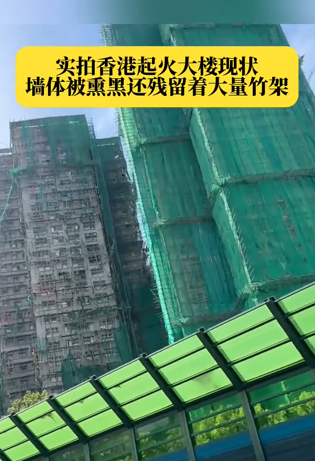 香港火灾后，有一群人在努力证明竹子比金属耐燃（组图） - 14