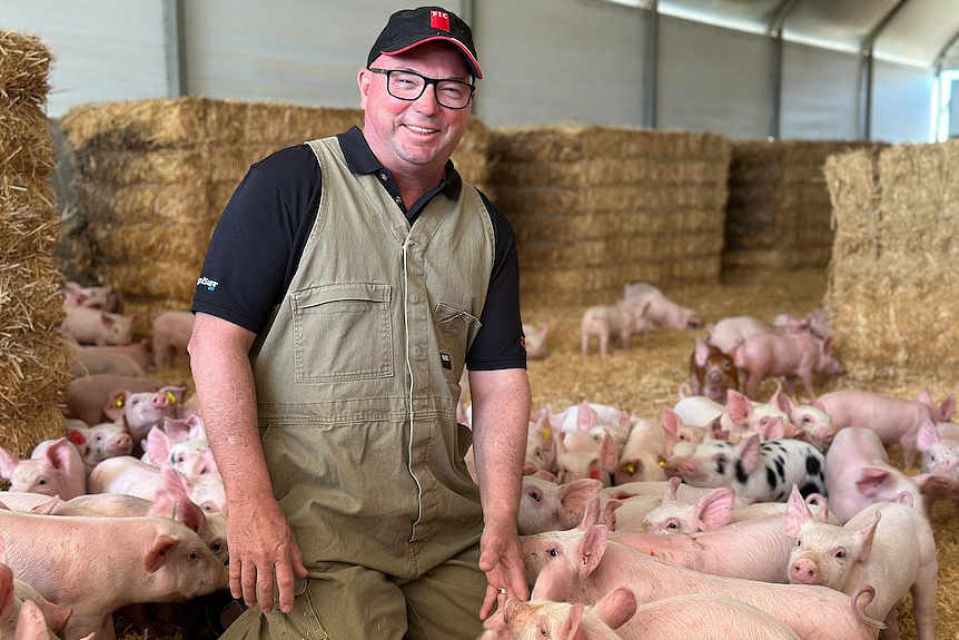 澳洲人都被误导了！你在超市买的这种肉，根本不是澳洲本地产的（组图） - 4