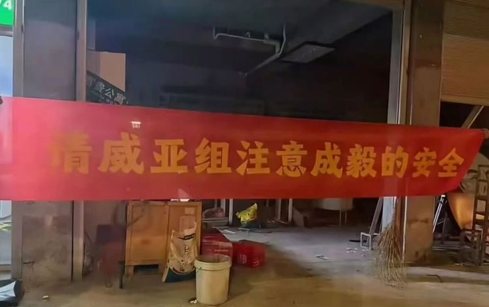 演员成毅拍戏吊威亚时突然坠落，后脑勺触地，蜷缩翻滚无法起身！从业8年武行分析（组图） - 2