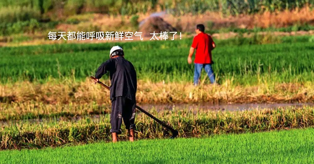 外卖公司联合权威媒体拍了一个视频,结果翻车了……(组图) - 5