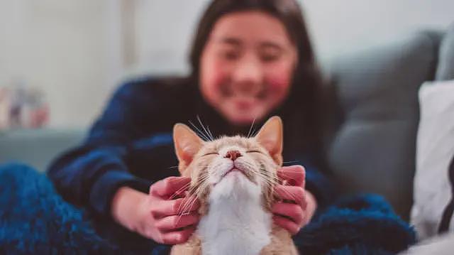 猫开始成为人类伙伴的时间，比你想像的要晚得多（组图） - 1