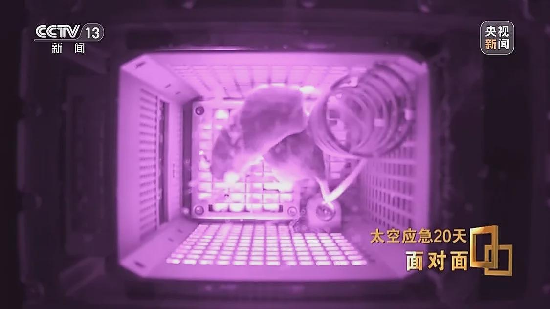 飞船舷窗现裂纹，中国航天第1次应急发射背后故事（组图） - 26