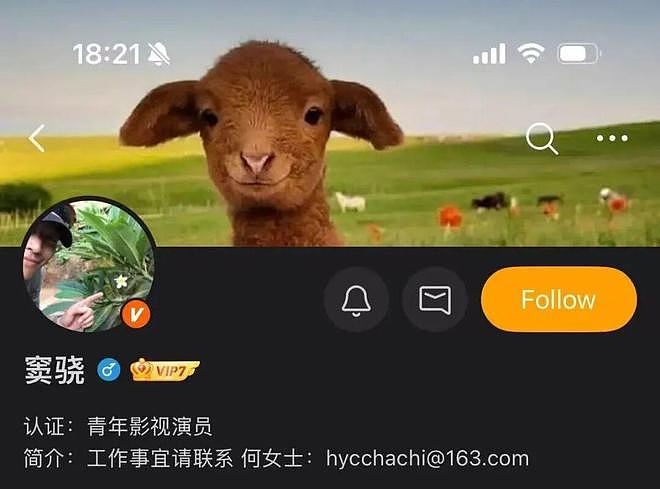 豪门赘婿，毁掉男明星（组图） - 13