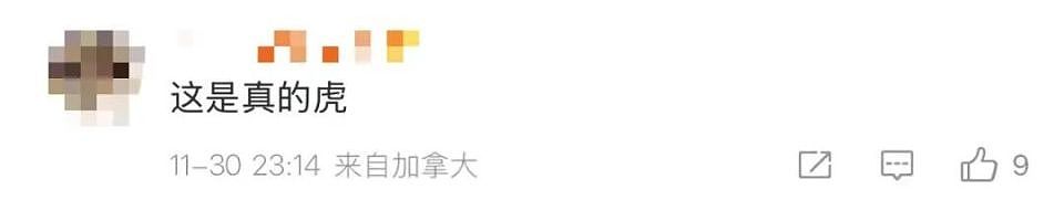 星巴克现“虎头女”手持狼牙棒“打劫咖啡”？有顾客被吓到，门店回应（组图） - 6