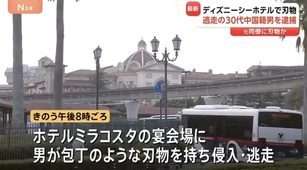 30岁中国男子持刀闯入东京迪士尼引发恐慌！日本人深感不安：近期不敢去事发地（组图） - 5