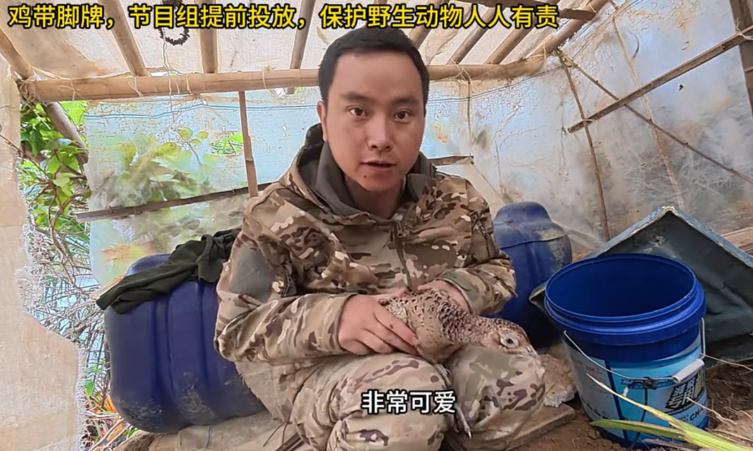 全国都在照抄张家界办“荒野求生”，这失控场面让人越看越害怕（组图） - 21