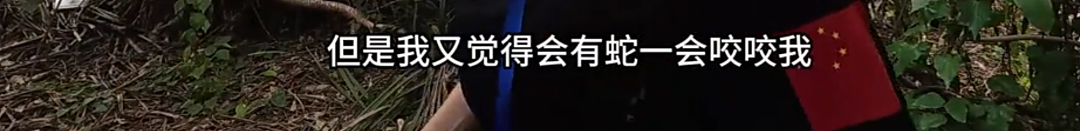 全国都在照抄张家界办“荒野求生”，这失控场面让人越看越害怕（组图） - 12