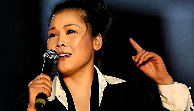 59岁田震从澳洲回国开演唱会遭抵制，拒绝国内赚钱国外花（组图） - 5