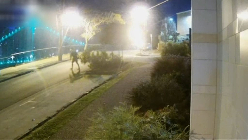 离谱！布里斯班深夜频现“偷树贼”，男子锯树、女子拔松，当地居民怒了（组图） - 2