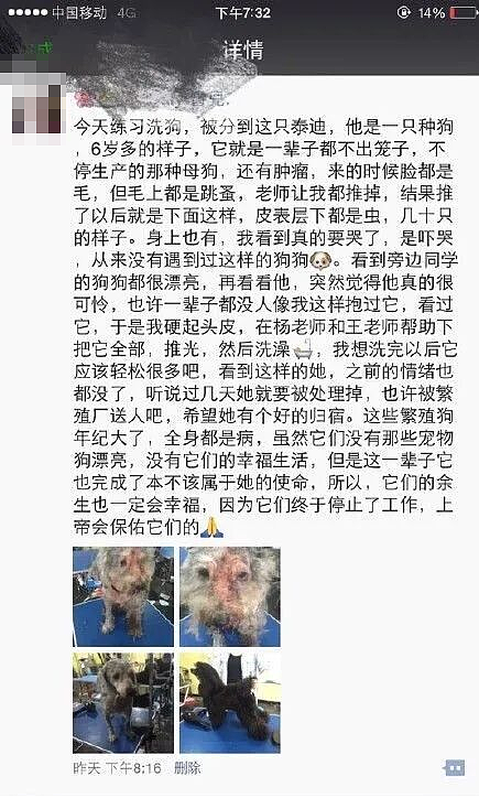 “剖腹取崽,去母留子,无情抛弃…”热搜上被曝光的黑色产业链,让无数网友怒了(组图) - 15