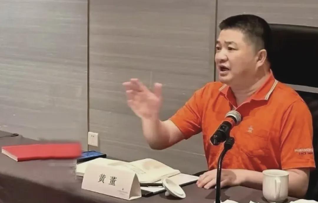 银行高管辞职摇身一变成年薪千万房企女副总，拿“安家费”等财物超4000万，被判14年（组图） - 3