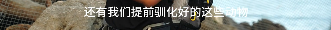 全国都在照抄张家界办“荒野求生”，这失控场面让人越看越害怕（组图） - 36