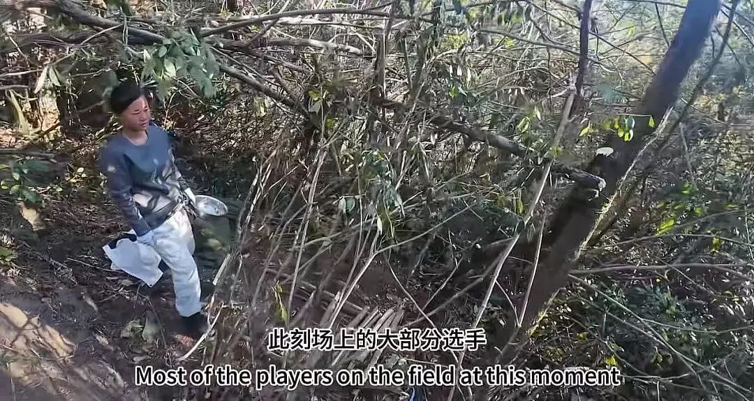 全国都在照抄张家界办“荒野求生”，这失控场面让人越看越害怕（组图） - 4