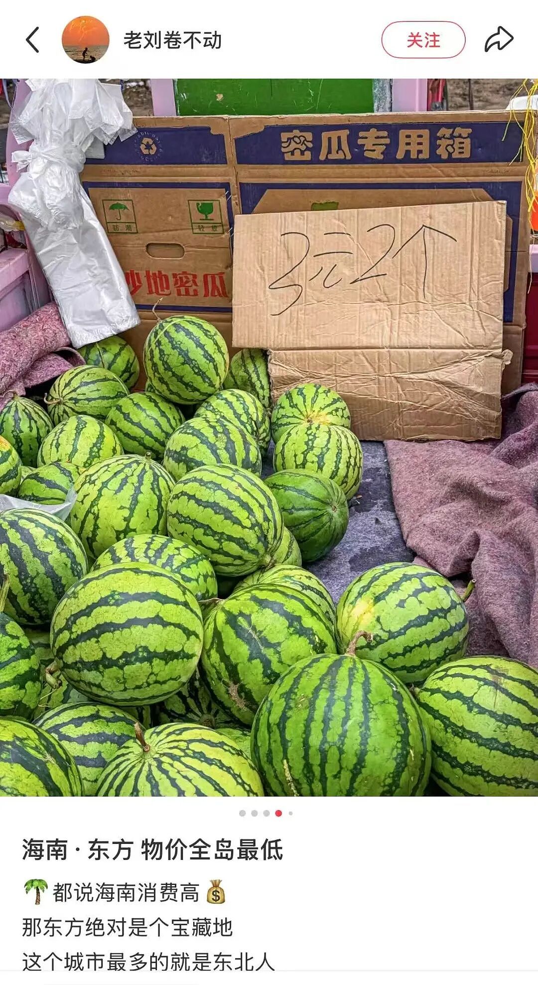 三亚县城,新晋“穷鬼度假”天堂?(组图) - 8