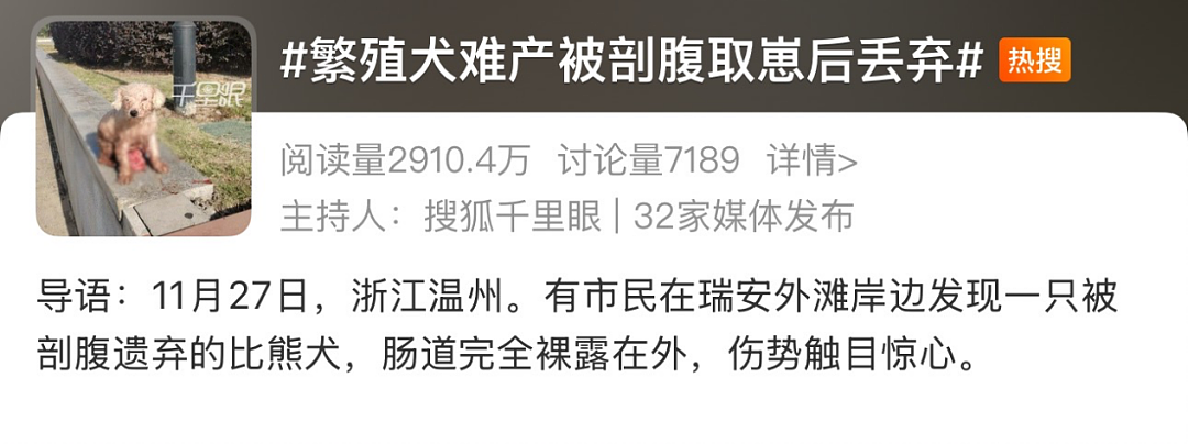 “剖腹取崽,去母留子,无情抛弃…”热搜上被曝光的黑色产业链,让无数网友怒了(组图) - 2
