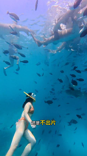 女子生理期仍照样在马尔代夫潜水惹鲨鱼咬!网民:自找麻烦(视频/组图) - 4