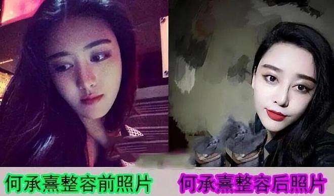 9年前，深圳富家女花800万整成范冰冰，丈夫整容成李晨，现在成这样（组图） - 3