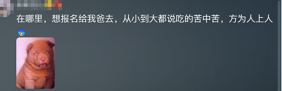 全国都在照抄张家界办“荒野求生”，这失控场面让人越看越害怕（组图） - 27