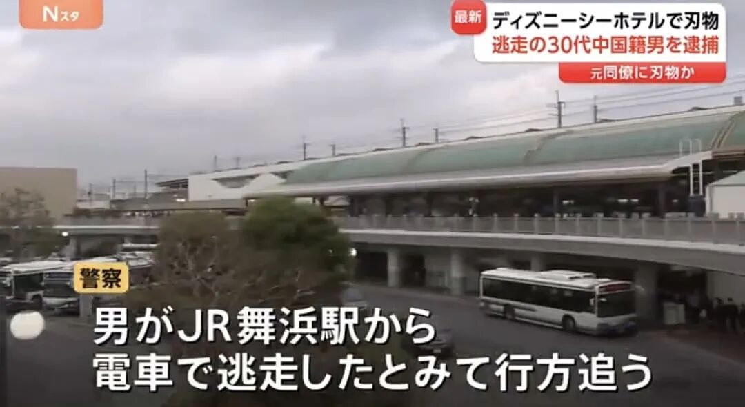 30岁中国男子持刀闯入东京迪士尼引发恐慌！日本人深感不安：近期不敢去事发地（组图） - 4