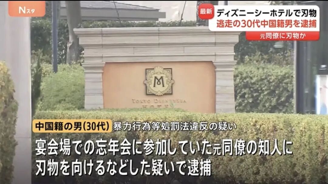 30岁中国男子持刀闯入东京迪士尼引发恐慌！日本人深感不安：近期不敢去事发地（组图） - 7