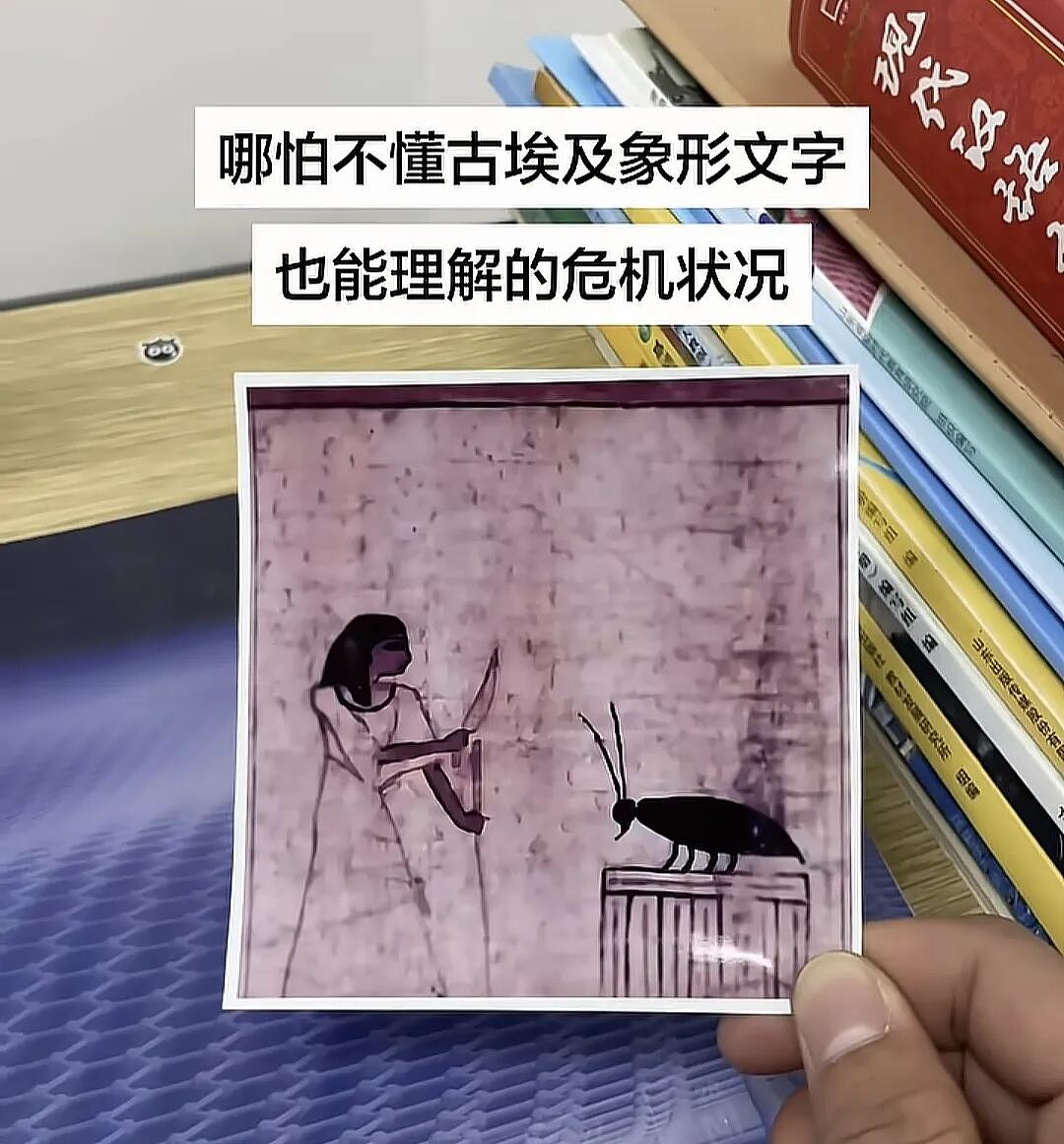 【爆笑】“当你约crush看疯狂动物城2......”哈哈哈哈哈哈哈这什么逆天回复啊（组图） - 64