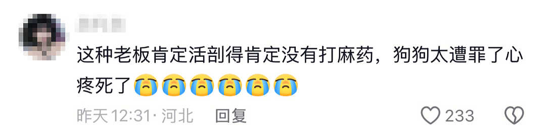 “剖腹取崽,去母留子,无情抛弃…”热搜上被曝光的黑色产业链,让无数网友怒了(组图) - 6