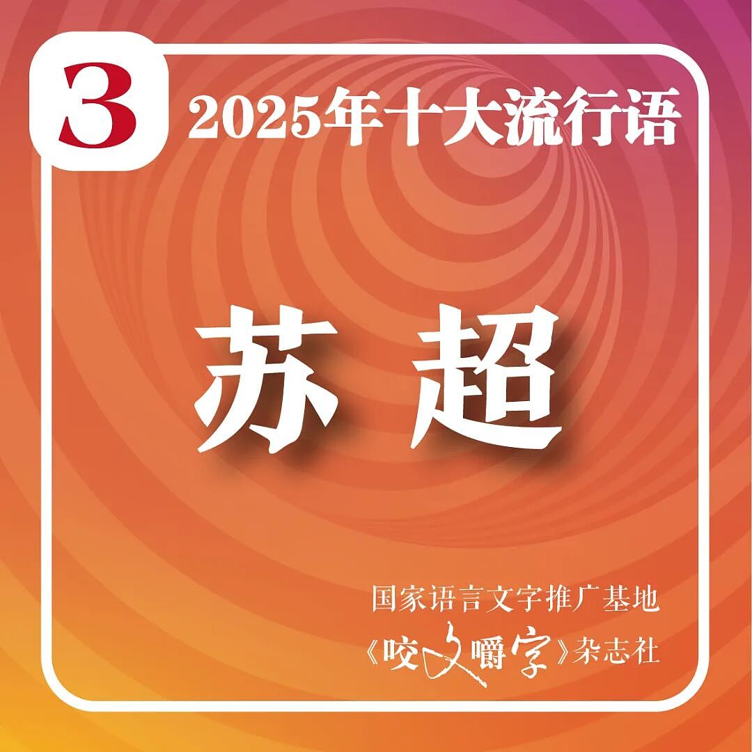 2025年十大流行语公布!“从从容容、游刃有余,匆匆忙忙、连滚带爬”“苏超”“预制xx”等入选(组图) - 4