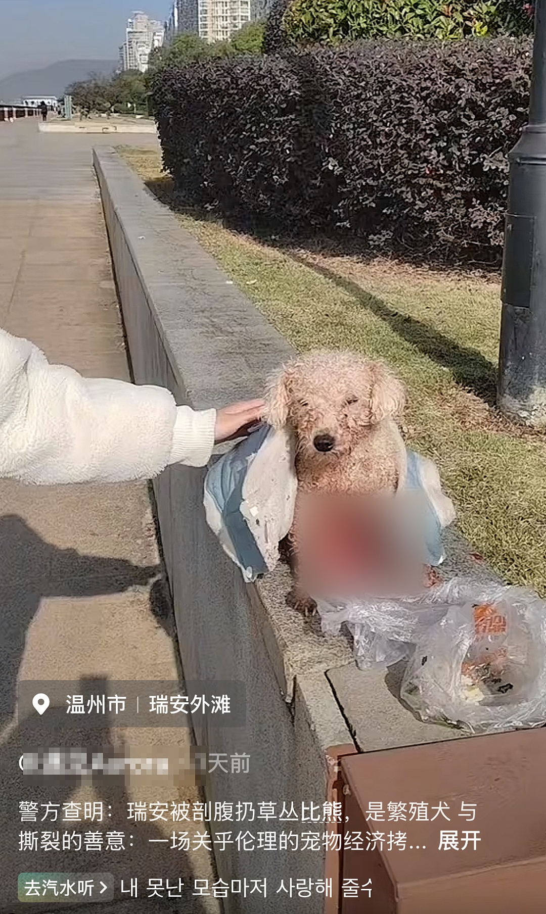 “剖腹取崽,去母留子,无情抛弃…”热搜上被曝光的黑色产业链,让无数网友怒了(组图) - 3