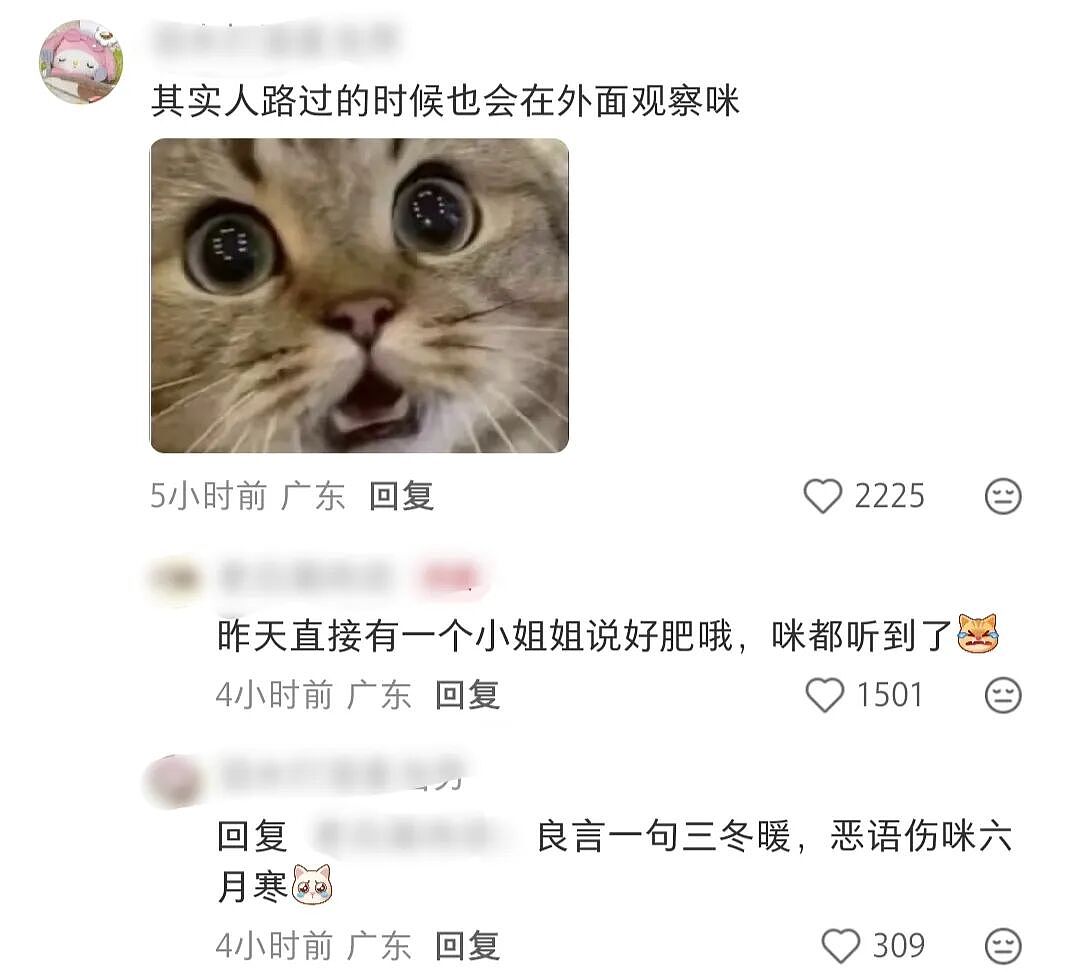 【爆笑】“对娱乐圈的误解能有多大？”哈哈哈哈哈哈哈真的刷新三观（组图） - 53