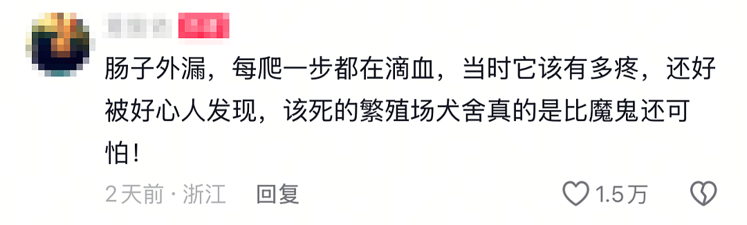 “剖腹取崽,去母留子,无情抛弃…”热搜上被曝光的黑色产业链,让无数网友怒了(组图) - 5