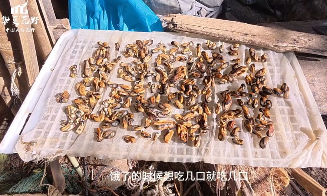 全国都在照抄张家界办“荒野求生”，这失控场面让人越看越害怕（组图） - 17