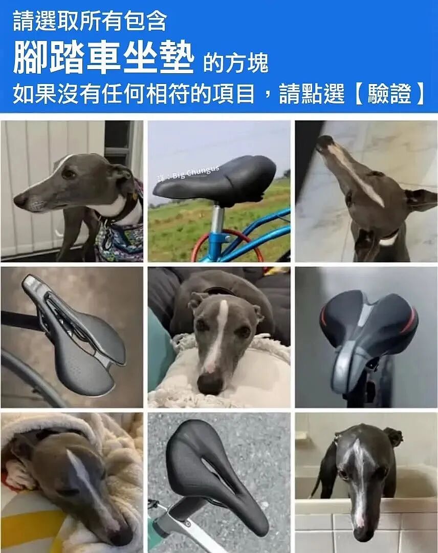 【爆笑】“对娱乐圈的误解能有多大？”哈哈哈哈哈哈哈真的刷新三观（组图） - 24